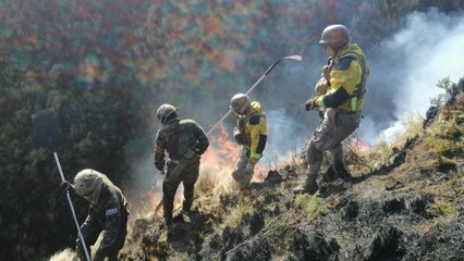 Los incendios llegan a las zonas indígenas de Bolivia