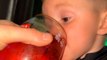 Adorable toddler has his love at first sip moment after drinking Cherryade