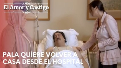 Pala quiere volver a casa desde el hospital | Amor y Castigo - Capitulo 24