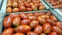 La fuerte suba en el precio del tomate y la banana se hace sentir en el bolsillo de los salteños