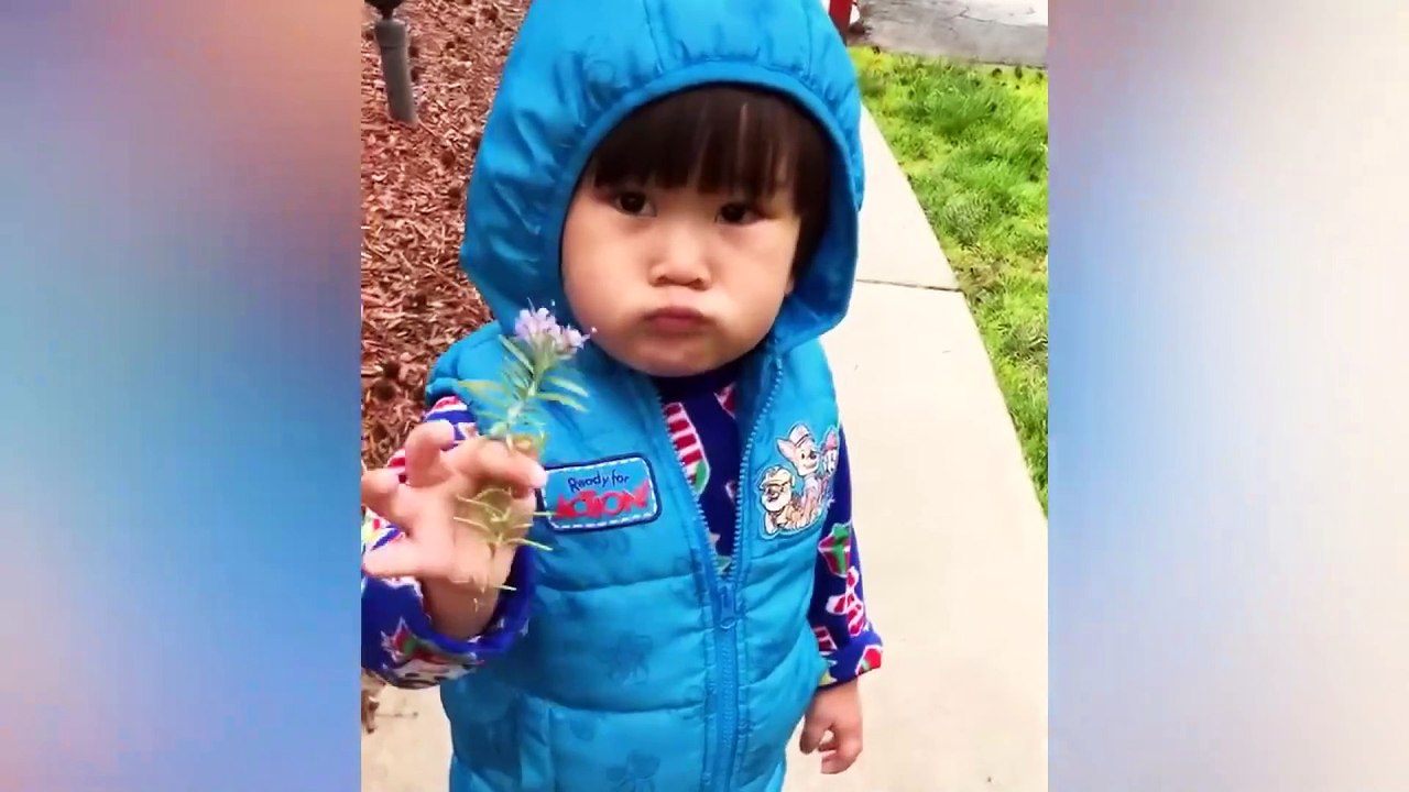 baby funny video 22
