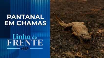 Governo cobra de ministros resolução das queimadas em bioma brasileiro | LINHA DE FRENTE