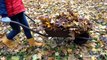 How to avoid back injuries while raking leaves