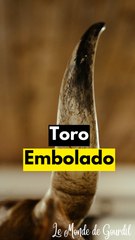 Toro embolado