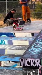 Atleta? Cachorro aparece em vídeo dando show de manobras no skate; veja vídeo