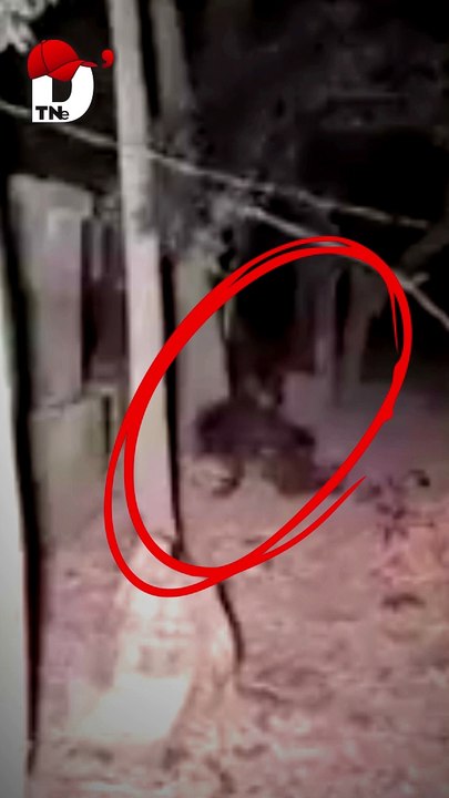 Cosas EXTRAÑAS Captadas por Cámaras de CELULAR de Seguridad