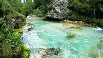 Lotus Pond - Aakash Gandhi. Relaxing music