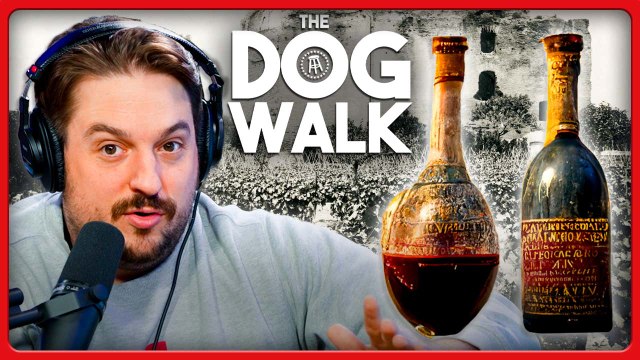 Exploring The Everlasting History of Wine