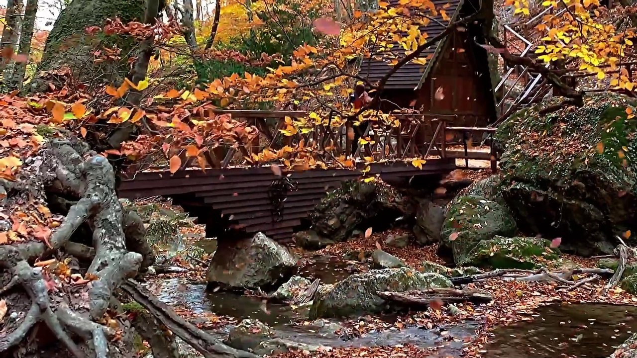INVRAISEMBLANCES - Autumn Rain