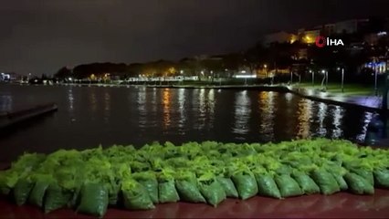 İstanbul’da 4 ton kaçak midye yakalandı!