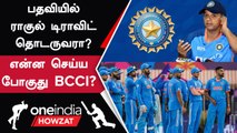 ODI WC 2023-க்கு பிறகு Rahul Dravid Head Coach ஆக இருப்பாரா? BCCI-யின் முடிவு என்ன?