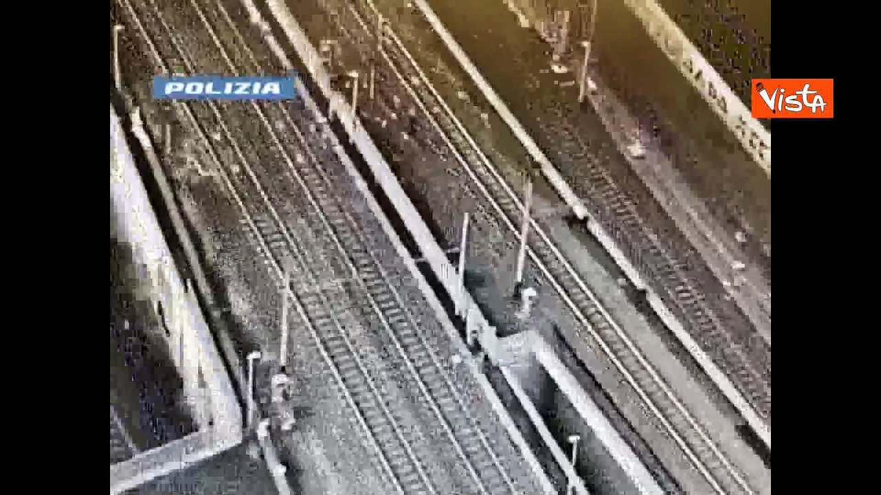 Ecco "il bosco della droga" a Milano, le riprese aeree della Polizia