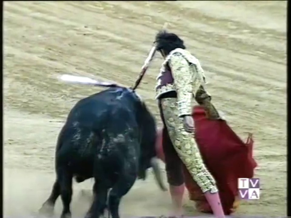 TARDE DE TOROS-JOSELITO-JULIO APARICIO-MANOLO SANCHEZ-SAN PEDRO REGALADO-13 MAYO 1996
