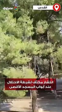 انتشار مكثف لشرطة الاحتلال عند أبواب المسجد الأقصى