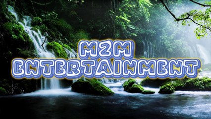 Shining a Light on Ambient forest sound birds relaxtion