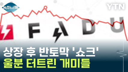 상장 후 반토막 '쇼크'...'파두'에 울분 터트린 개미들 [Y녹취록] / YTN