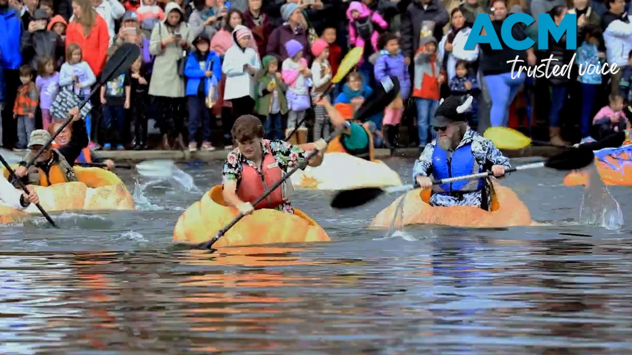 Racing in a giant gourd for the annual Giant Pumpkin Regatta