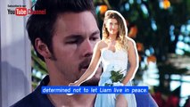 Steffy divorces Finn - Liam takes advantage of the reunion The Bold and The Beau