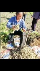 Most effective way to work