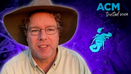 Tim the Yowie Man goes on the search for glowing scorpions
