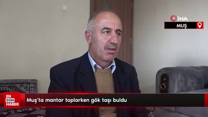 Muş'ta mantar toplarken gök taşı buldu
