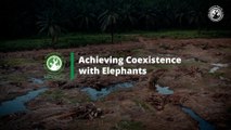 MPOGCF - Achieving Coexistence with Elephants