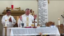 Catholic Mass Today I Daily Holy Mass I Wednesday November 15 2023 I English Holy Mass I 5.00 AM