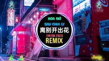 就是南方凯 - 离别开出花 (抖音DJ铁柱版) Hoa Nở Sau Chia Ly (Remix Tiktok) - Đây Là Nam Phương Khải ｜｜ Hot Douyin