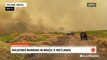 Firefighters battle out-of-control wildfires in Brazil wetlands