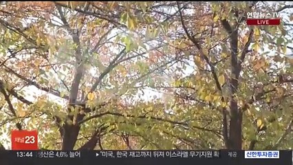 [날씨] 추위 차츰 풀려…'수능 날' 한파 대신 비