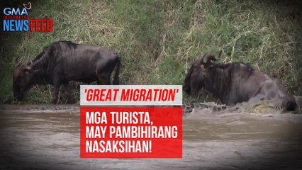 Mga turistang dumayo para sa 'Great Migration,' may pambihirang nasaksihan! | GMA Integrated Newsfeed