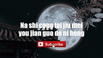 You Mei You Ren Ceng Gao Su Ni - Chen Chu Sheng ｜ #Lyrics #LyricsVideo ＂Has Anyone Told You＂