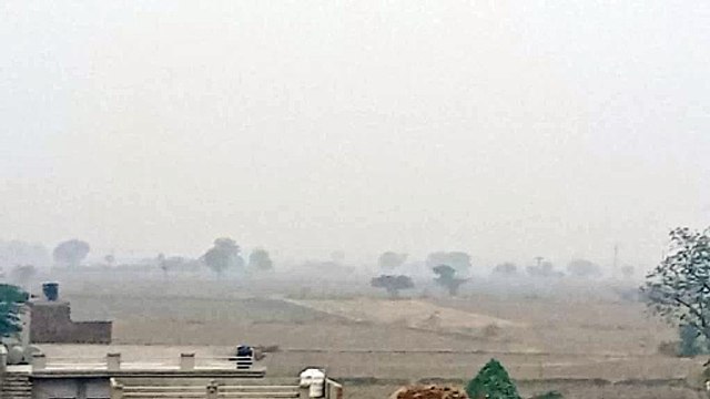 video : सर्दी का असर बढ़ा, अल सुबह छाया कोहरा