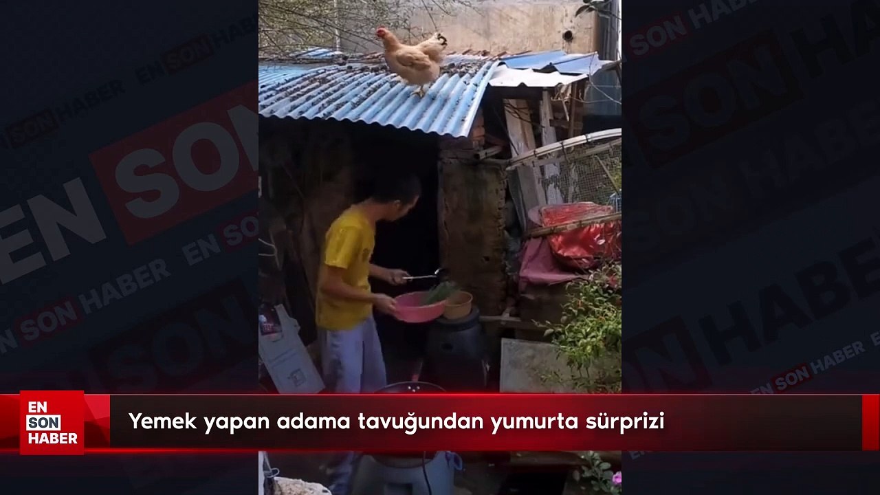 Yemek yapan adama tavuğundan yumurta sürprizi
