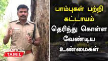 பாம்புகள் பற்றி கட்டாயம் தெரிந்து கொள்ள வேண்டிய உண்மைகள் |  Myths and Facts About Snakes | Oneindia