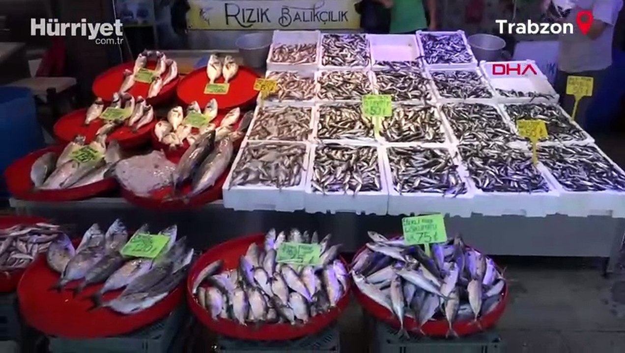 Hamside 'aşırı avcılık' ile yok olma tehlikesi