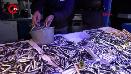 Hamside 'aşırı avcılık' ile yok olma tehlikesi