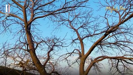 Perjalanan ke Gunung Ararat - Debby Basjir #debbybasjir