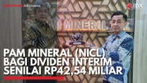 Pam Mineral (NICL) Bagi Dividen Interim Senilai Rp42,54 Miliar