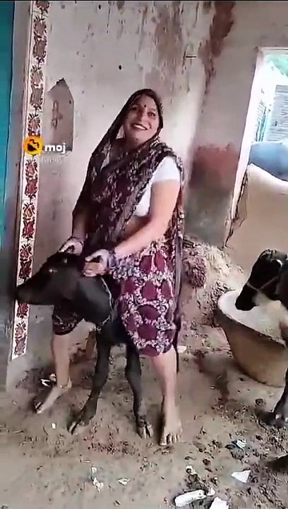 Funny Comedy video