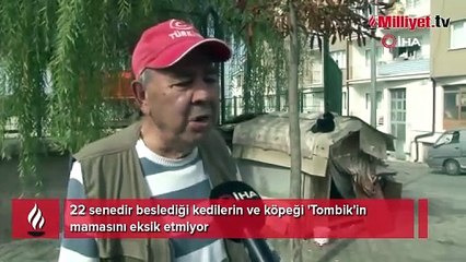 22 senedir beslediği kedilerin ve köpeği 'Tombik'in mamasını eksik etmiyor