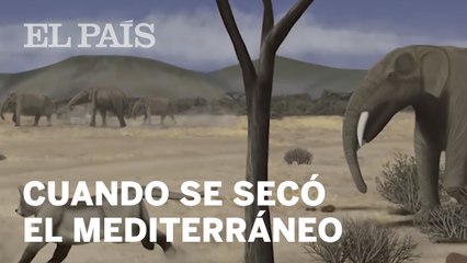 Cuando el Mediterráneo se secó y las ratas llegaron a España