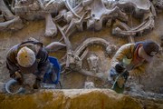 Encuentran trampas para cazar mamuts en México