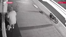 Dükkanını açan kadına sokak köpekleri saldırdı