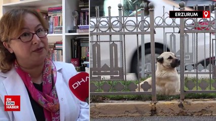 Profesör köpek saldırısından korunmak için yapılan yanlışı anlattı