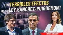 María Jamardo destripa la infame ley de amnistía que nos ha colado Sánchez