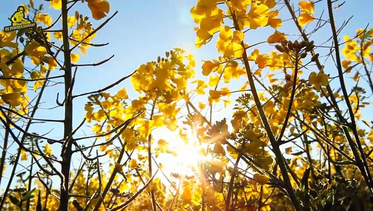 NAV NADIYA RO PANI SA RAJASTHANI HIT DJ VIRAL REMIX  SONG 2023 MIX BY DJ PRITHVI JAITSAR