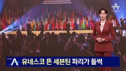 BTS 이어 유네스코 뜬 세븐틴…파리가 들썩