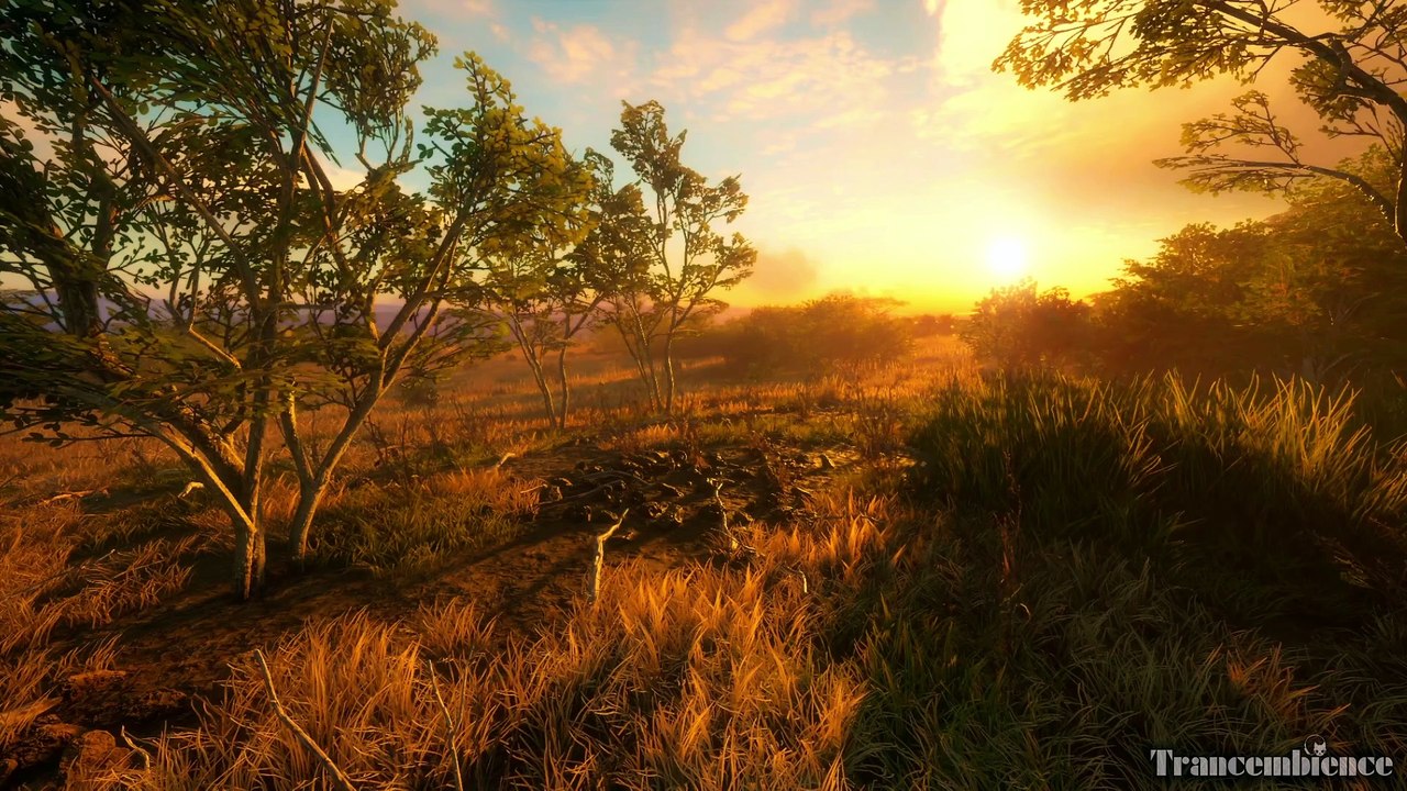 Golden Hour Reverie: African Safari Sunset Ambiance