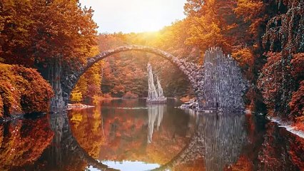 Don’t Rake Up All Your Leaves This Year